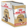Royal Canin FBN Maine Coon Adult 12x85g Karma Mokra W Sosie Dla Kotów Dorosłych Rasy Maine Coon