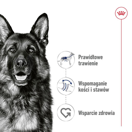 Royal Canin Maxi Adult 10x140g Karma Mokra W Sosie Dla Psów Dorosłych Ras Dużych