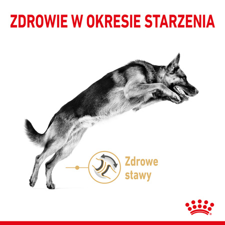 Royal Canin BHN German Shepherd Adult 5+ 3kg Karma Sucha Dla Dorosłych Psów Rasy Owczarek Niemiecki Powyżej 5 Roku Życia