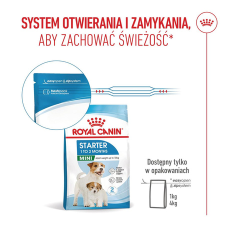 Royal Canin Mini Starter Mother & Babydog 4kg Karma Sucha Dla Suk W Ciąży I Okresie Laktacji Oraz Szczeniąt Ras Małych
