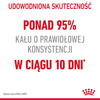 Royal Canin Digestive Care 10kg Karma Sucha Dla Kotów Dorosłych Wspomagająca Przebieg Trawienia