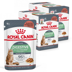 Royal Canin Digest Sensitive 24x85g Mokra Karma Dla Kotów Dorosłych W Sosie Na Wrażliwy Przewód Pokarmowy