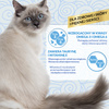 Inaba Cat Churu Skin Coat 4x14g (56g) Kremowy Przysmak Dla Kota Pasta Z Tuńczykiem I Przegrzebkami