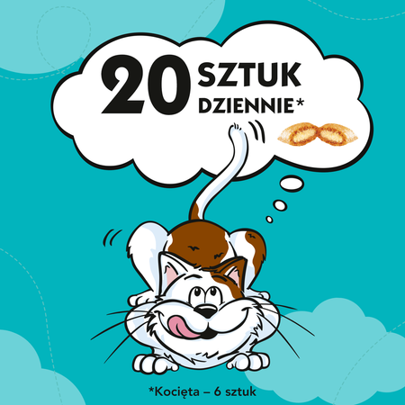 Dreamies z Wybornym Łososiem 60g Przysmaki dla kota