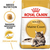 Royal Canin FBN Maine Coon Adult 10kg Karma Sucha Dla Kotów Dorosłych Rasy Maine Coon