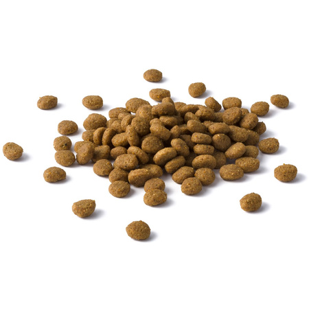 Purina Cat Chow Urinary 1,5kg Sucha Karma Dla Kota Bogata W Kurczaka