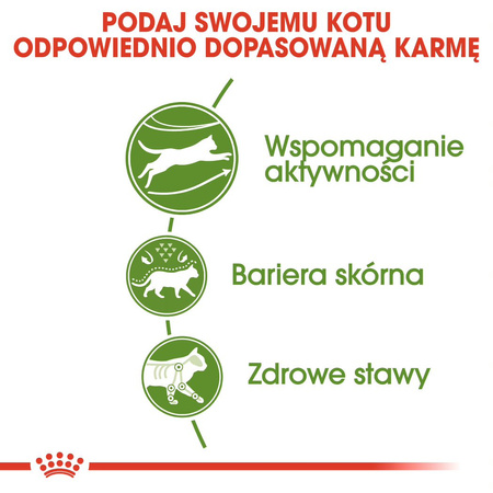 Royal Canin Outdoor 400g Sucha Karma Dla Kotów Dorosłych Wychodzących Na Zewnątrz