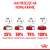 Royal Canin Fhn Kitten 10kg Karma Sucha Dla Kociąt +12x85g Mokra Karma w Sosie