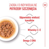 Royal Canin Mini Puppy 48x85g Mokra Karma w Sosie Dla Szczeniąt Do 10 Miesiąca Małych Ras