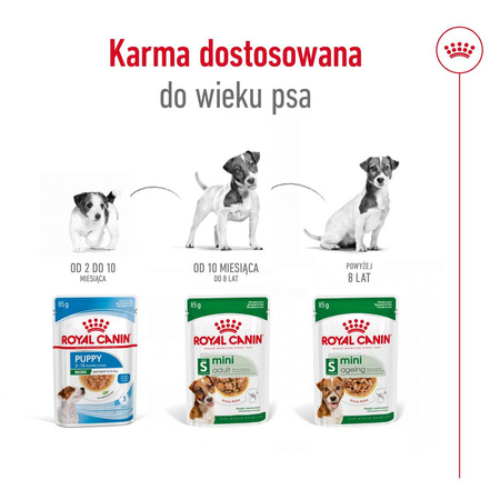 Royal Canin Mini Ageing 12+ 24x85g Karma Mokra Kawałki W Sosie Dla Psów Dojrzałych Po 12 Roku Życia Ras Małych