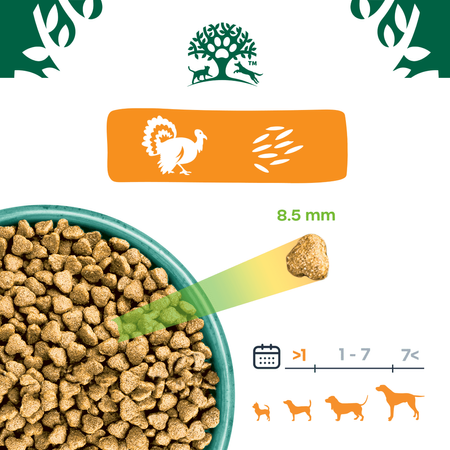 James Wellbeloved Junior 2kg Sucha Karma Dla Szczeniąt do 14 Miesięcy Bogata W Indyka I Ryż