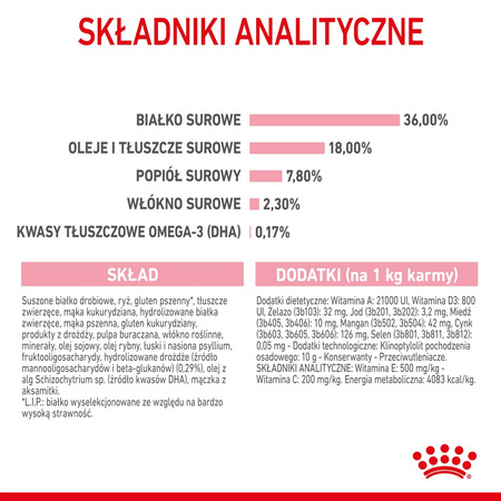 Royal Canin Fhn Kitten 10kg Karma Sucha Dla Kociąt +12x85g Mokra Karma w Sosie