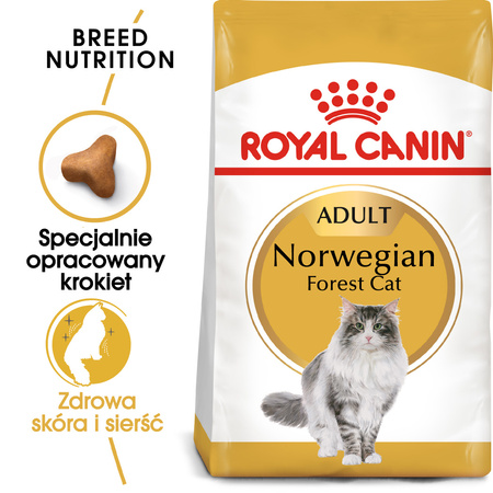 Royal Canin FBN Norvegian Forest Cat Adult 2kg Karma Sucha Dla Kotów Dorosłych Rasy Norweski Leśny