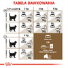 Royal Canin Ageing Sterilised +12 Senior 4kg Karma Sucha Dla Kotów Dojrzałych Sterylizowanych Powyżej 12 Roku Życia