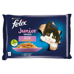 Felix Fantastic Junior Karma Dla Kociąt Wybór Smaków W Galaretce 340g (4x85g) Kurczak I Łosoś