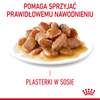 Royal Canin Appetite Control Care Karma Mokra W Sosie Dla Kotów Domagających Się Jedzenia 24x85g