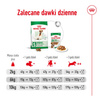 Royal Canin Mini Adult 8+ 8kg Karma Sucha Dla Psów Starszych Od 8 Do 12 Roku Życia Ras Małych