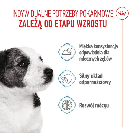 Royal Canin Mini Puppy 48x85g Mokra Karma w Sosie Dla Szczeniąt Do 10 Miesiąca Małych Ras