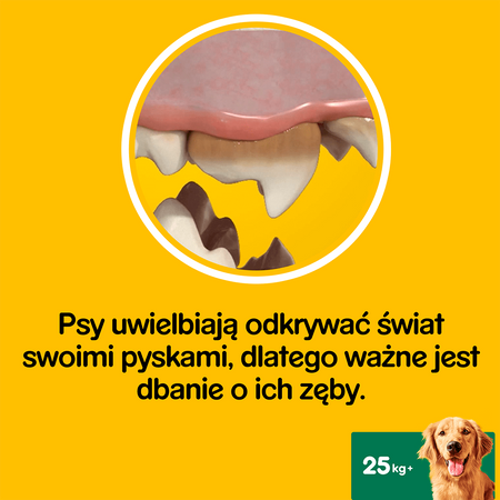 Pedigree Dentastix Przysmak Dentystyczny Dla Psów Dużych Ras 3x56szt