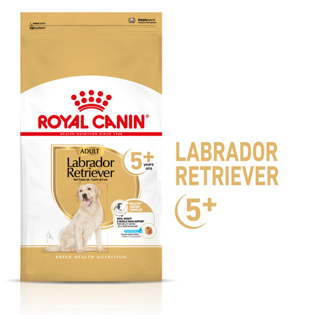 ROYAL CANIN Adult 5+ Labrador Retriever Sucha Karma Dla Psa 12kg