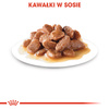 Royal Canin Hairball Care 12x85g Mokra Karma Dla Kotów Dorosłych w Sosie Eliminacja Kul Włosowych