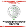 ROYAL CANIN Digestive Care Karma Mokra Psów o Wrażliwym Przewodzie Pokarmowym Pasztet 85g