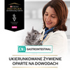 Purina Pro Plan Veterinary Diets Feline EN Gastrointestinal Sucha Karma Dla Kota 400g Zaburzenia Żołądkowo-Jelitowe