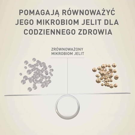 Purina ONE Mini Sensitive z Łososiem i Ryżem 800g Sucha Karma Dla Psów Małych Ras