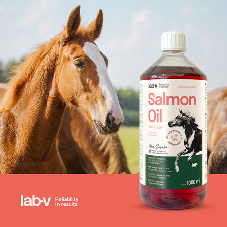 LAB-V Olej z Łososia Naturalny Suplement Dla Konia 1000ml Wsparcie Stawów Odporność Zdrowa Skóra
