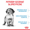 Royal Canin Shn Medium Puppy 2x4kg Karma Sucha Dla Szczeniąt Od 2 Do 12 Miesiąca Ras Średnich