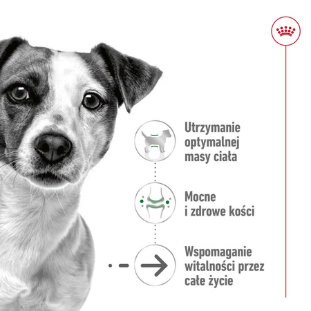 Royal Canin SHN Mini Adult 12+ 1,5kg Karma Sucha Dla Psów Dojrzałych Po 12 Roku Życia Ras Małych