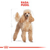 Royal Canin BHN Poodle Adult 1,5kg Karma Sucha Dla Psów Dorosłych Rasy Pudel Miniaturowy