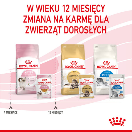 Royal Canin FHN Kitten Instinctive 6x85g Karma Mokra W Sosie i Galaretce Dla Kociąt Do 12 Miesiąca Życia