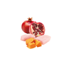 Farmina N&D Dog Chicken Pumpkin Pomegranate Starter 140g Mokra Karma Dla Szczeniąt Kurczak Dynia i Granat