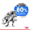 Royal Canin Medium Light Weight Care 3kg Karma Sucha Dla Psów Średnich Ras Z Tendencją Do Nadwagi