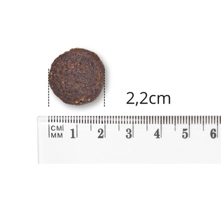 Baltica Adult Sensitive L/XL 12kg Hipoalergiczna Sucha Karma Z Rybami Bałtyckimi Dla Psów Dużych i Olbrzymich Ras