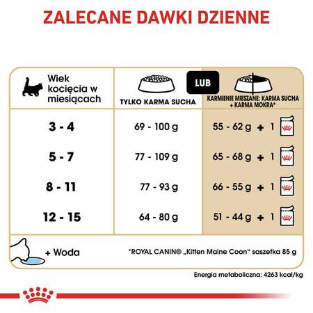 Royal Canin FBN Maine Coon Kitten 2kg Karma Sucha Dla Kociąt Do 15 Miesiąca Rasy Maine Coon