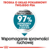 Royal Canin CCN Maxi Joint Care 10kg Karma Sucha Dla Psów Dorosłych Ras Dużych Wspomagająca Pracę Stawów