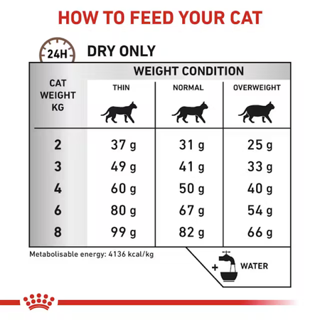 Royal Canin Veterinary Hepatic S/O 4kg Sucha Karma Dla Kotów Z Niewydolnością Wątroby
