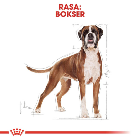 Royal Canin BHN Boxer Adult 12kg Karma Sucha Dla Psów Dorosłych Rasy Bokser