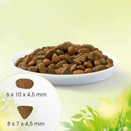 Perfect Fit Natural Vitality Sucha Karma Dla Kotów Z Wołowiną i Kurczakiem  6kg
