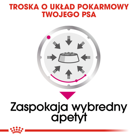 Royal Canin CCN Exigent 85g Karma Mokra Pasztet Dla Wybrednych Psów Dorosłych