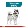 Royal Canin CCN Maxi Joint Care 10kg Karma Sucha Dla Psów Dorosłych Ras Dużych Wspomagająca Pracę Stawów