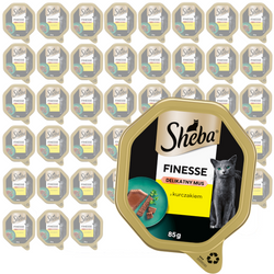 Sheba Finesse Tacka 44x85g Mokra Karma Pełnoporcjowa Dla Kota Z Kurczakiem W Musie