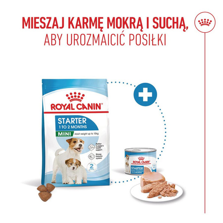 Royal Canin Mini Starter Mother & Babydog 8kg Karma Sucha Dla Suk W Ciąży I Okresie Laktacji Oraz Szczeniąt Ras Małych