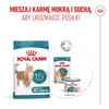 Royal Canin Ageing 15+ Karma Sucha 2kg Dla Kotów Dojrzałych Powyżej 15 Roku Życia