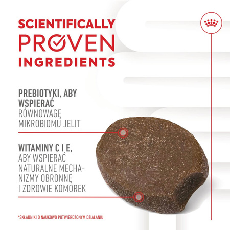 Royal Canin Supplements Dog Immunity & Digest Puppy 100g Suplementy W Postaci Przysmaków Wspierające Prawidłowe Trawienie I Odporność Szczeniąt