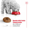 Royal Canin SHN Mini Adult 12+ 3,5kg Karma Sucha Dla Psów Dojrzałych Po 12 Roku Życia Ras Małych