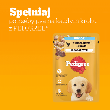 Pedigree Junior Saszetka 100g Mokra Karma Dla Psa Kawałki Bogate W Kurczaka W Galaretce