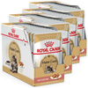 Royal Canin FBN Maine Coon Adult 48x85g Karma Mokra W Sosie Dla Kotów Dorosłych Rasy Maine Coon